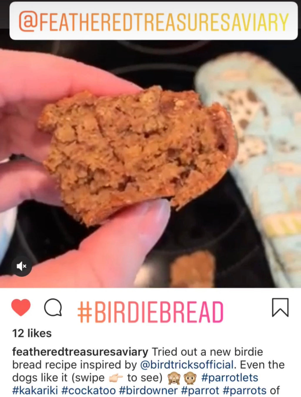 Parrot Birdie Bread Mix Bundle product image 27