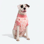 UPF 30 Printed Dog Sun Shirt product image 50