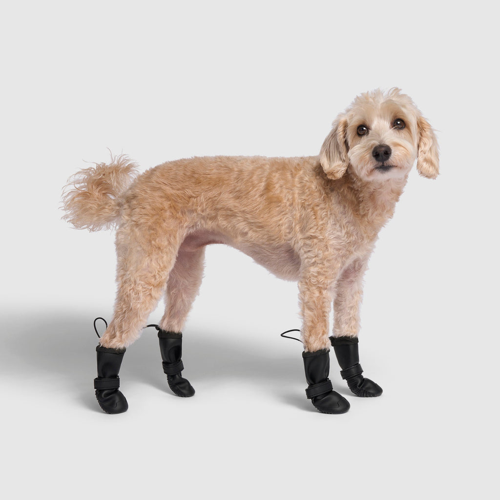 Waterproof Silicone Dog Rain Boots product image 1