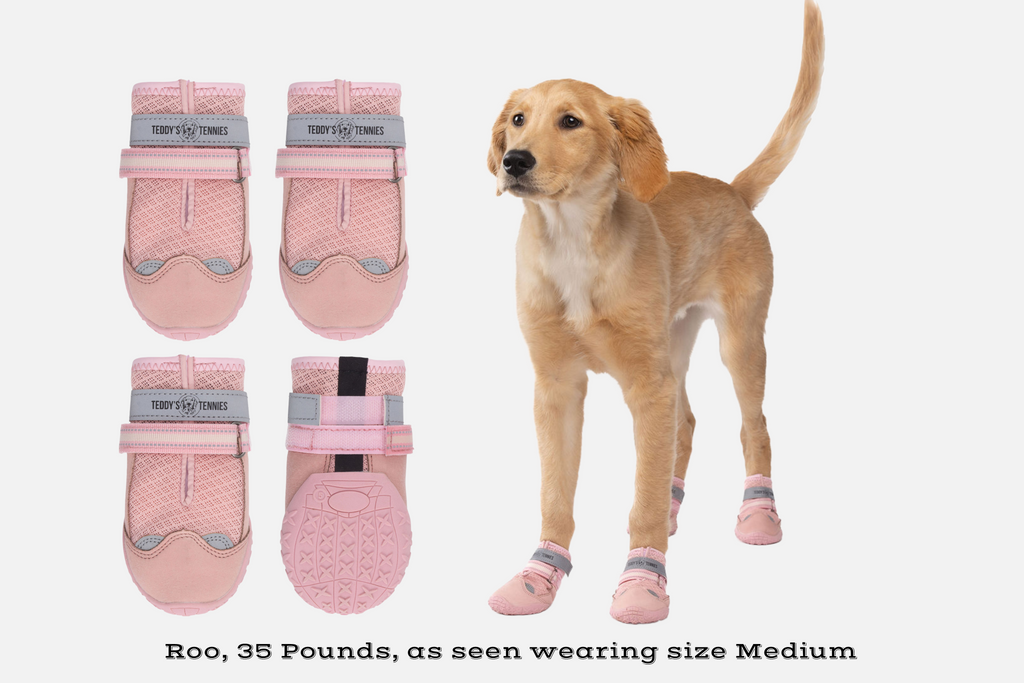 All-Season Protective Dog Shoes product image 8