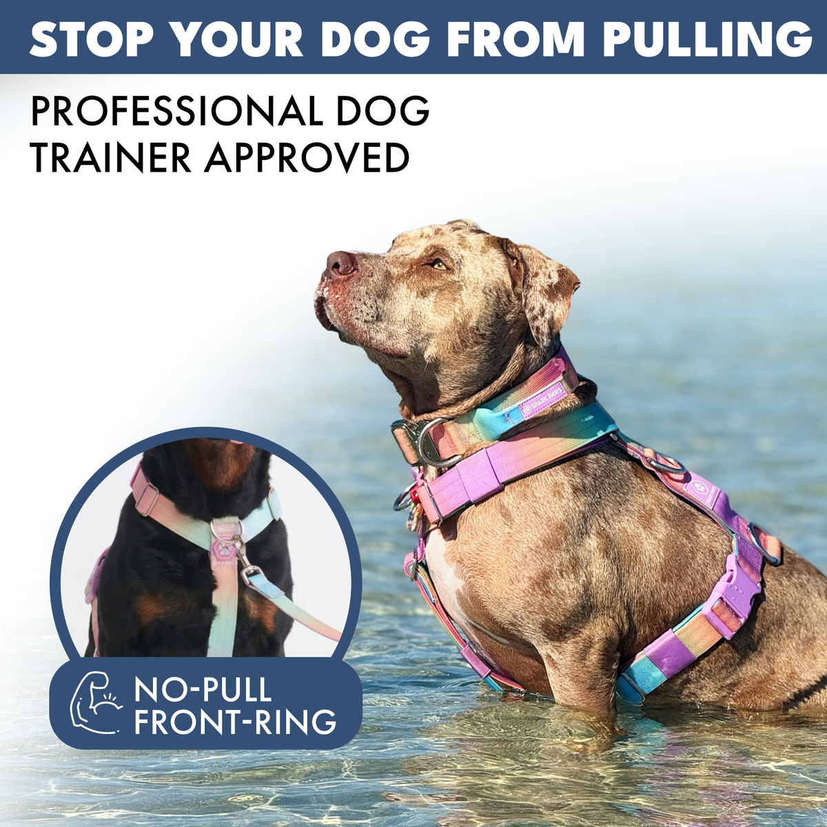 No-Pull Dog Harness Walking Set product image 10