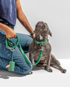 Leash-Attached Dog Waste Bag Dispenser product image 54