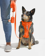 Leash-Attached Dog Waste Bag Dispenser product image 20