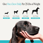 Dog Calming Soft Chews product image 7