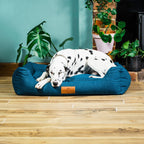 Orthopaedic Memory Foam Dog Bed product image 1