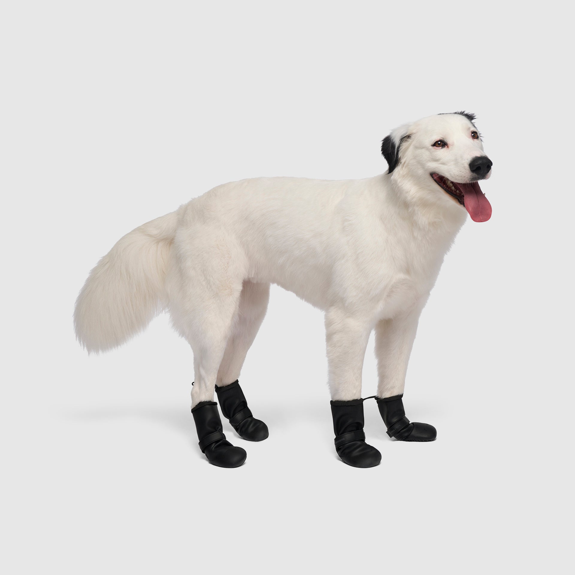 Waterproof Silicone Dog Rain Boots product image 4