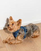 Cushioned No-Pull Dog Harness product image 41