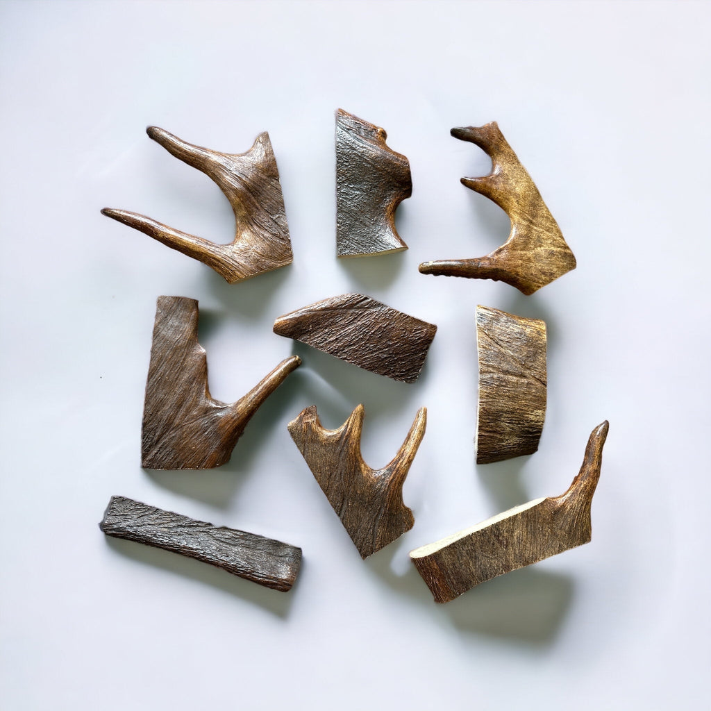 Moose Antler Dog Chew Assortment product image 1
