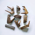 Moose Antler Dog Chew Assortment Large Moderate Chewer - 2 Large Chews Per Pound / Original Fresh Antler