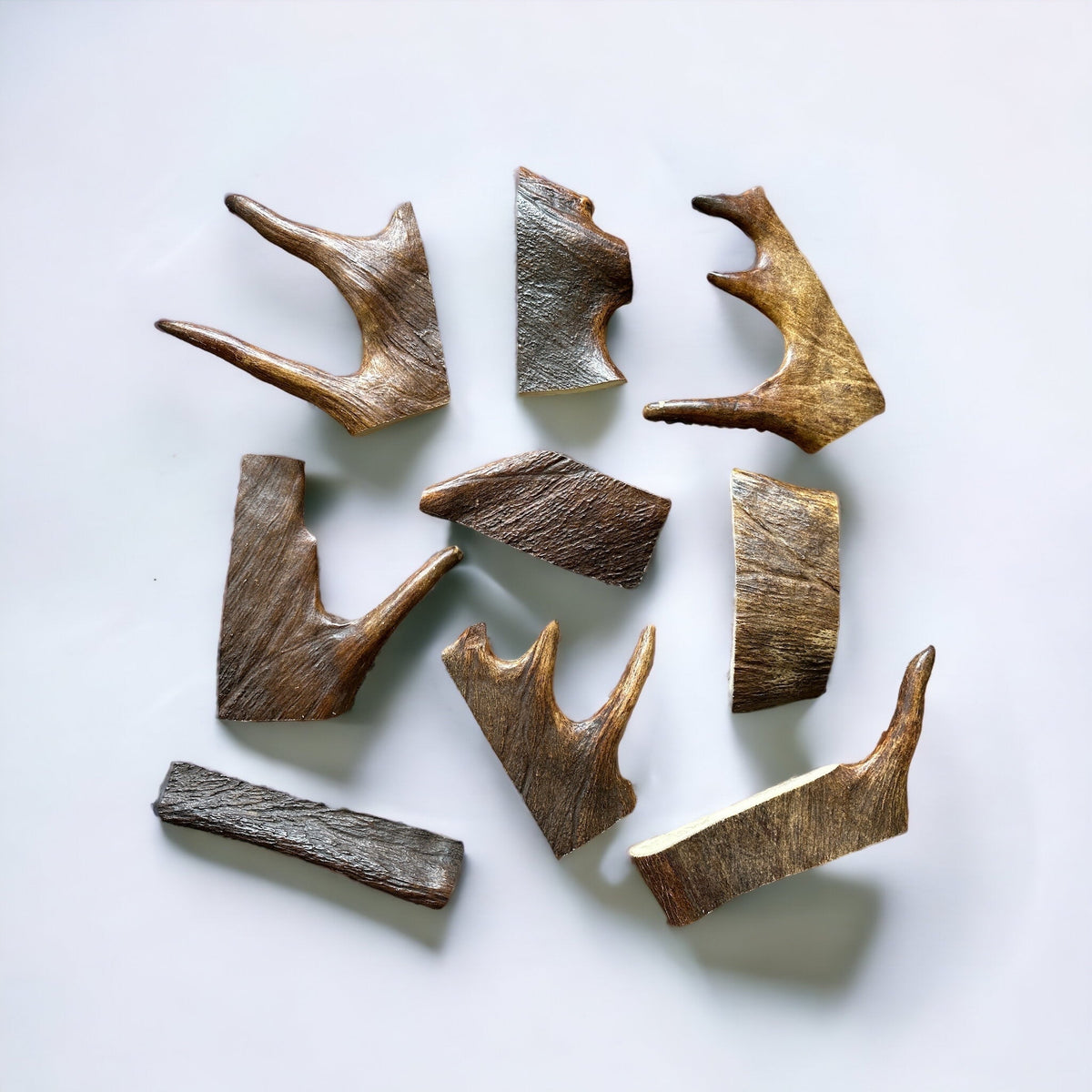 Moose Antler Dog Chew Assortment Large Moderate Chewer - 2 Large Chews Per Pound / Original Fresh Antler