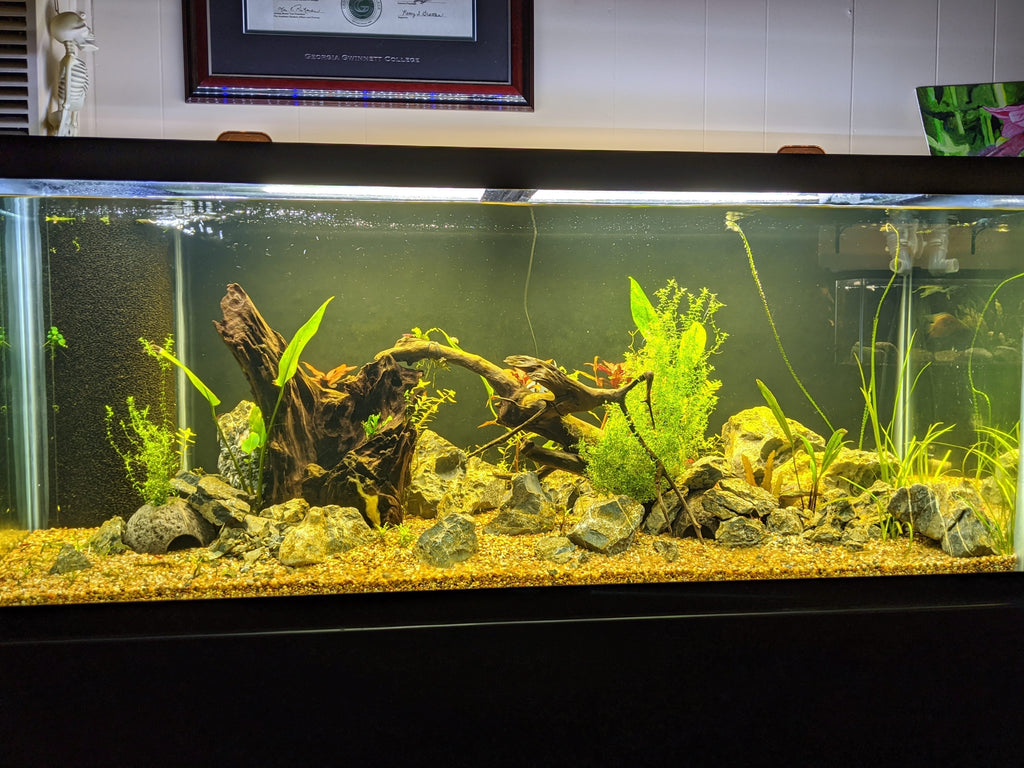 Planted Aquarium Soil Base Layer product image 12