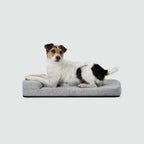 Water-Repellent Dog Crate Bed product image 1
