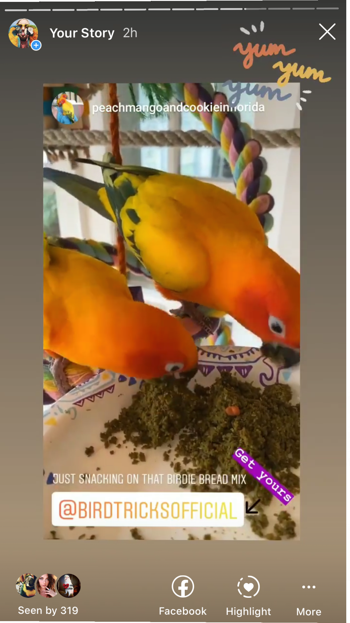 Parrot Birdie Bread Mix Bundle product image 29