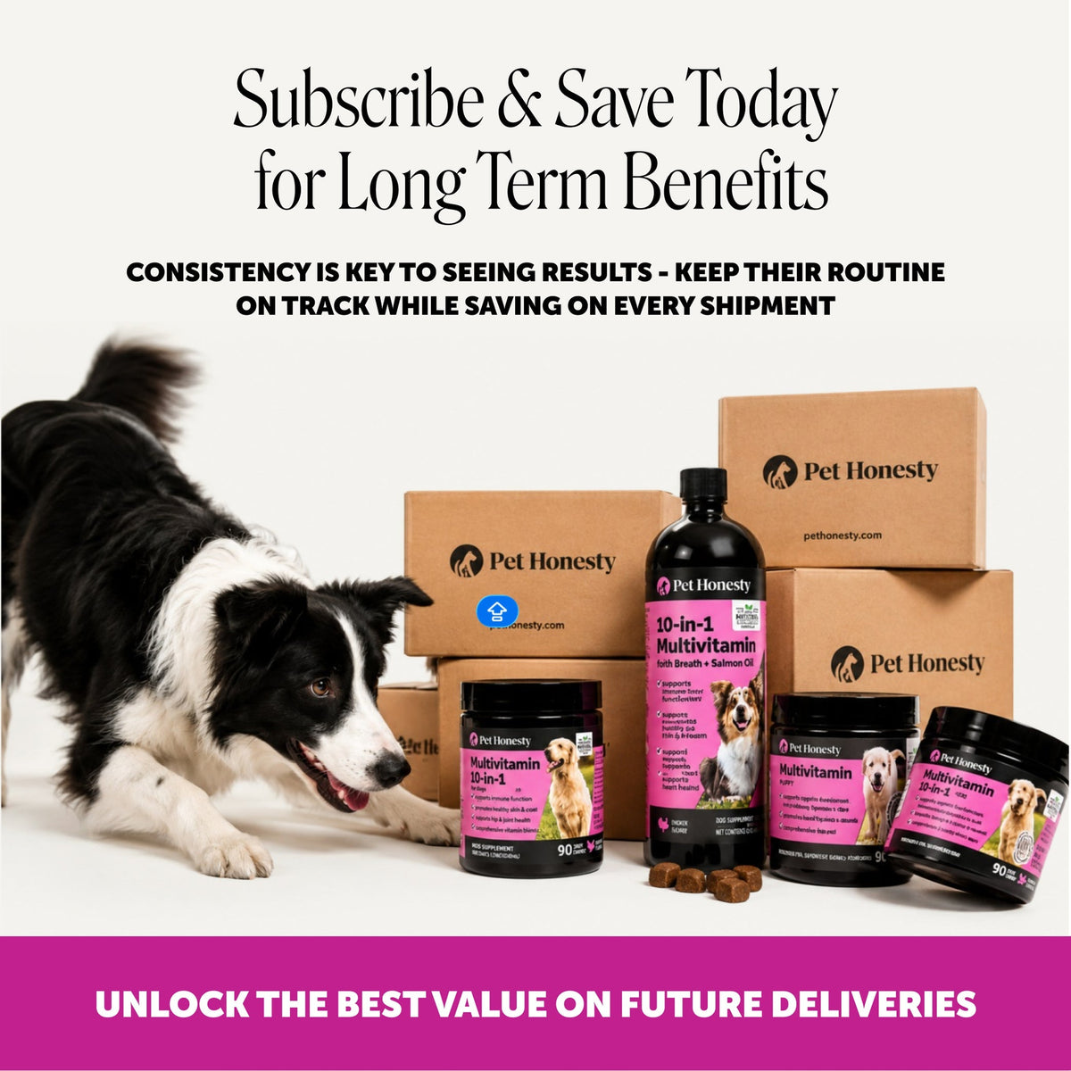 Senior Dog Multivitamin Soft Chews product image 7