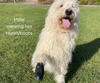 Greyhound and Whippet Dog Boots product image 19