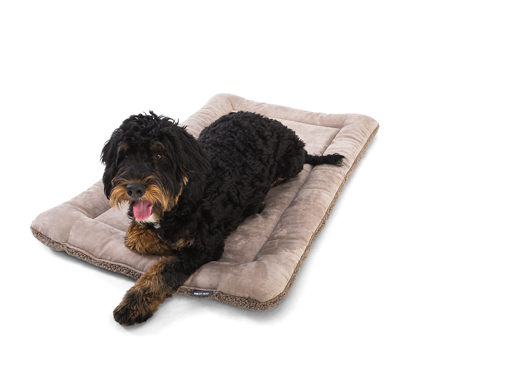 Reversible Dog Travel Mat product image 3