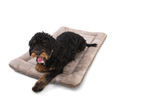 Reversible Dog Travel Mat product image 3