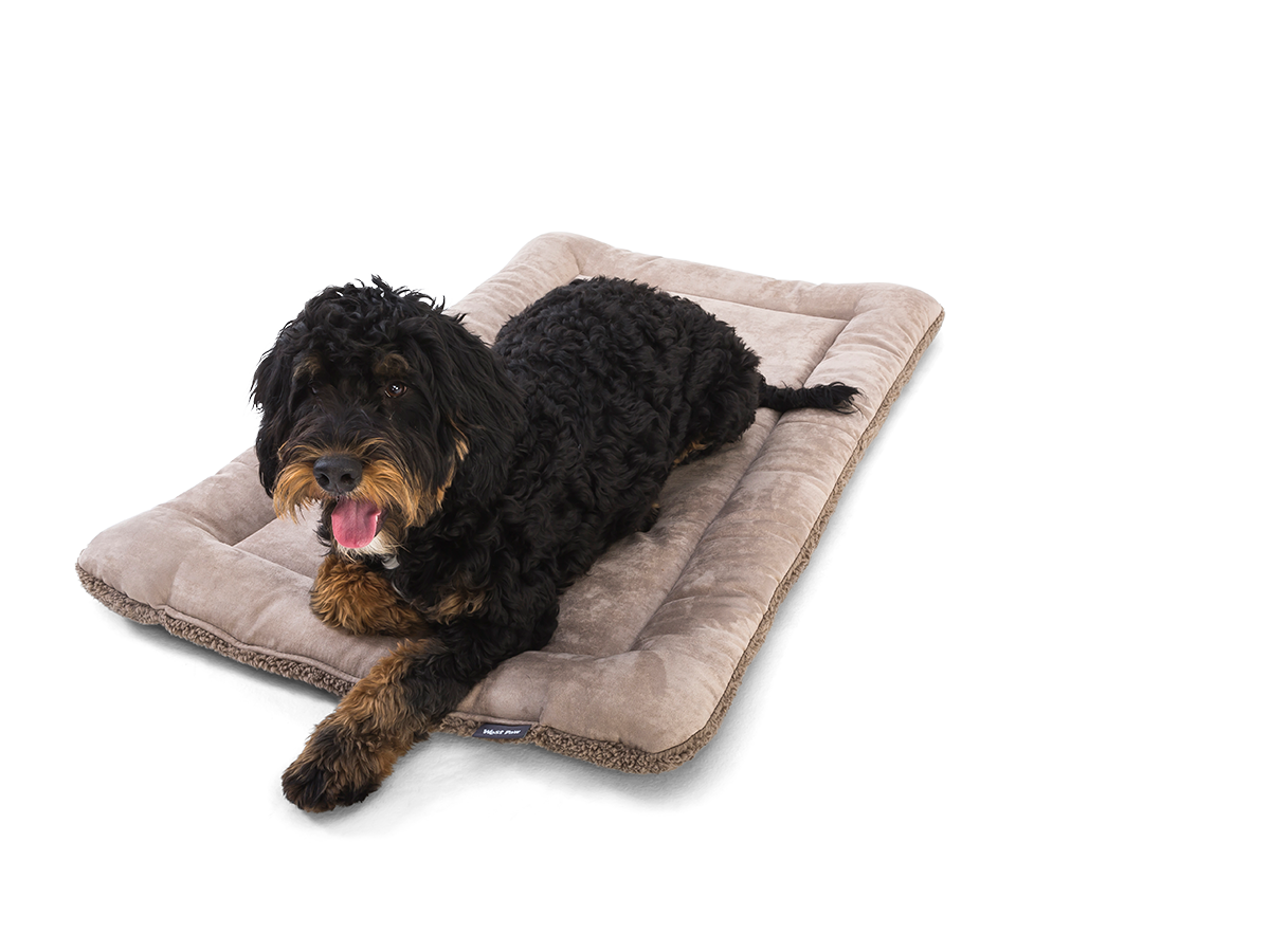 Reversible Dog Travel Mat product image 3
