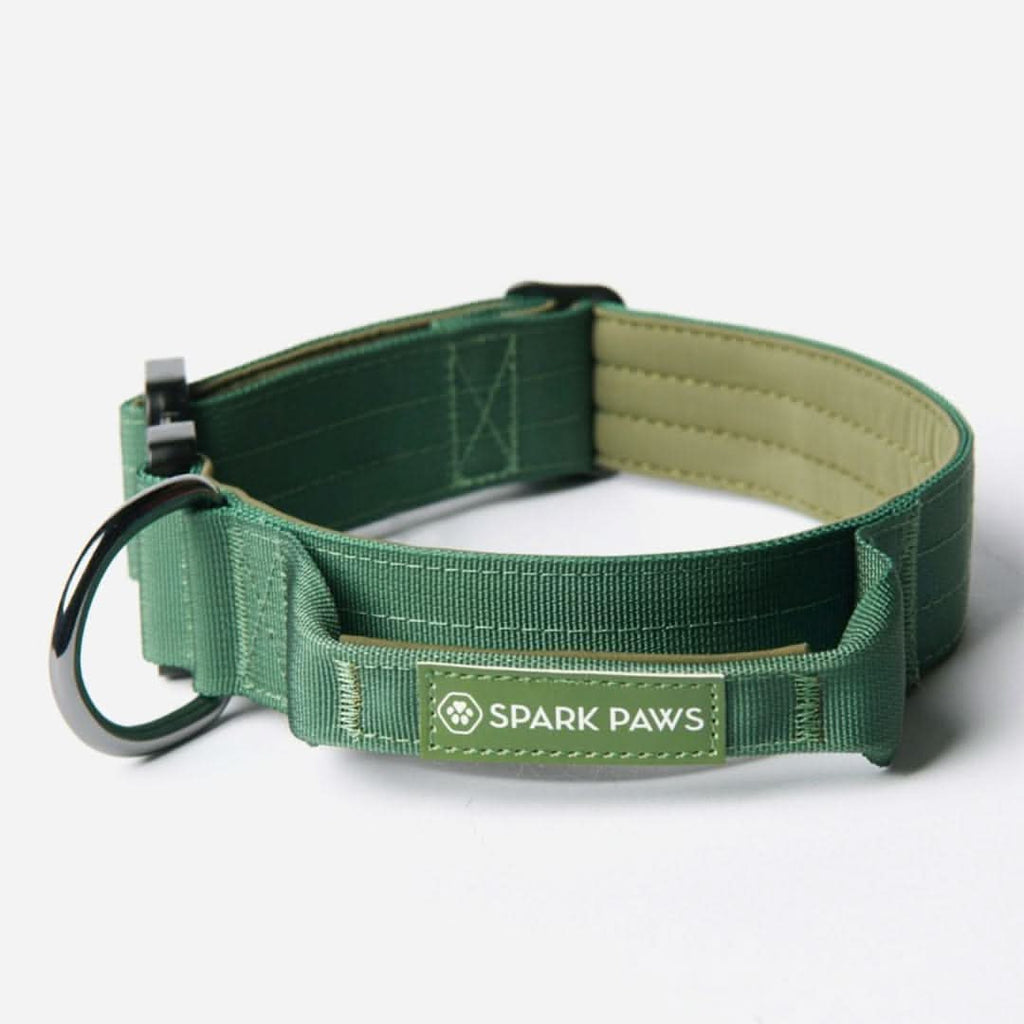 Control-Handle Dog Collar 2"/5cm / S