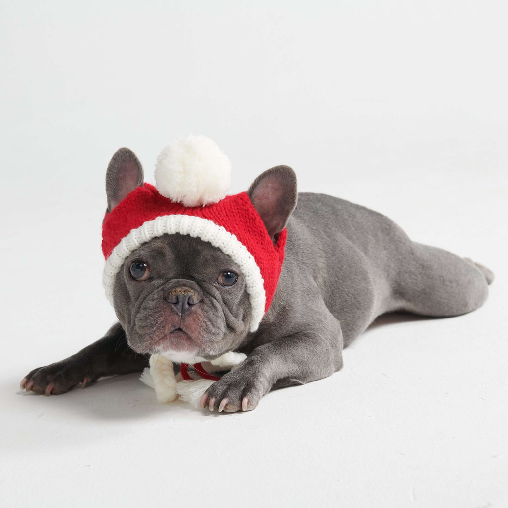 Knit Pom-Pom Dog Beanie product image 16