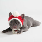 Knit Pom-Pom Dog Beanie product image 16