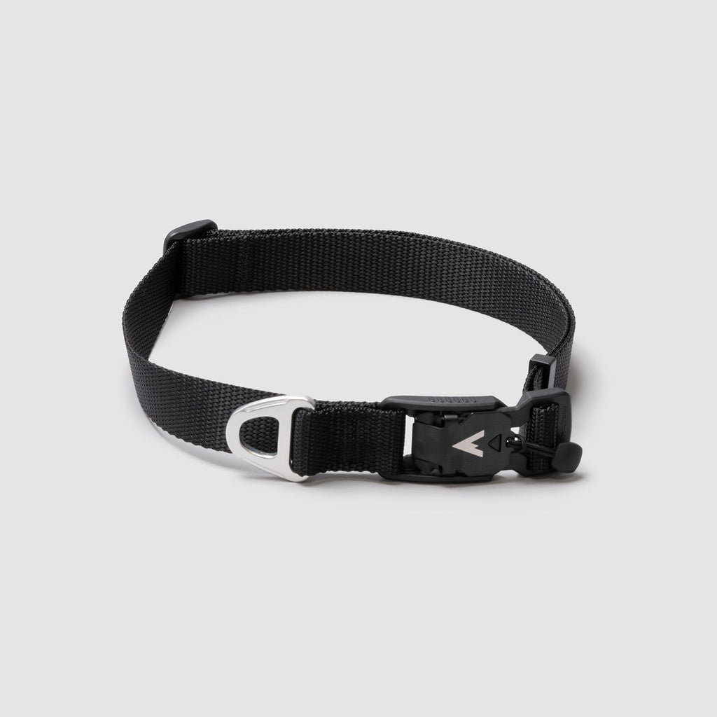 Adjustable Lightweight Dog Collar product image 1