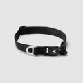 Adjustable Lightweight Dog Collar Black / Small (12"-16")