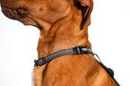 Reflective No-Pull Dog Harness product image 5