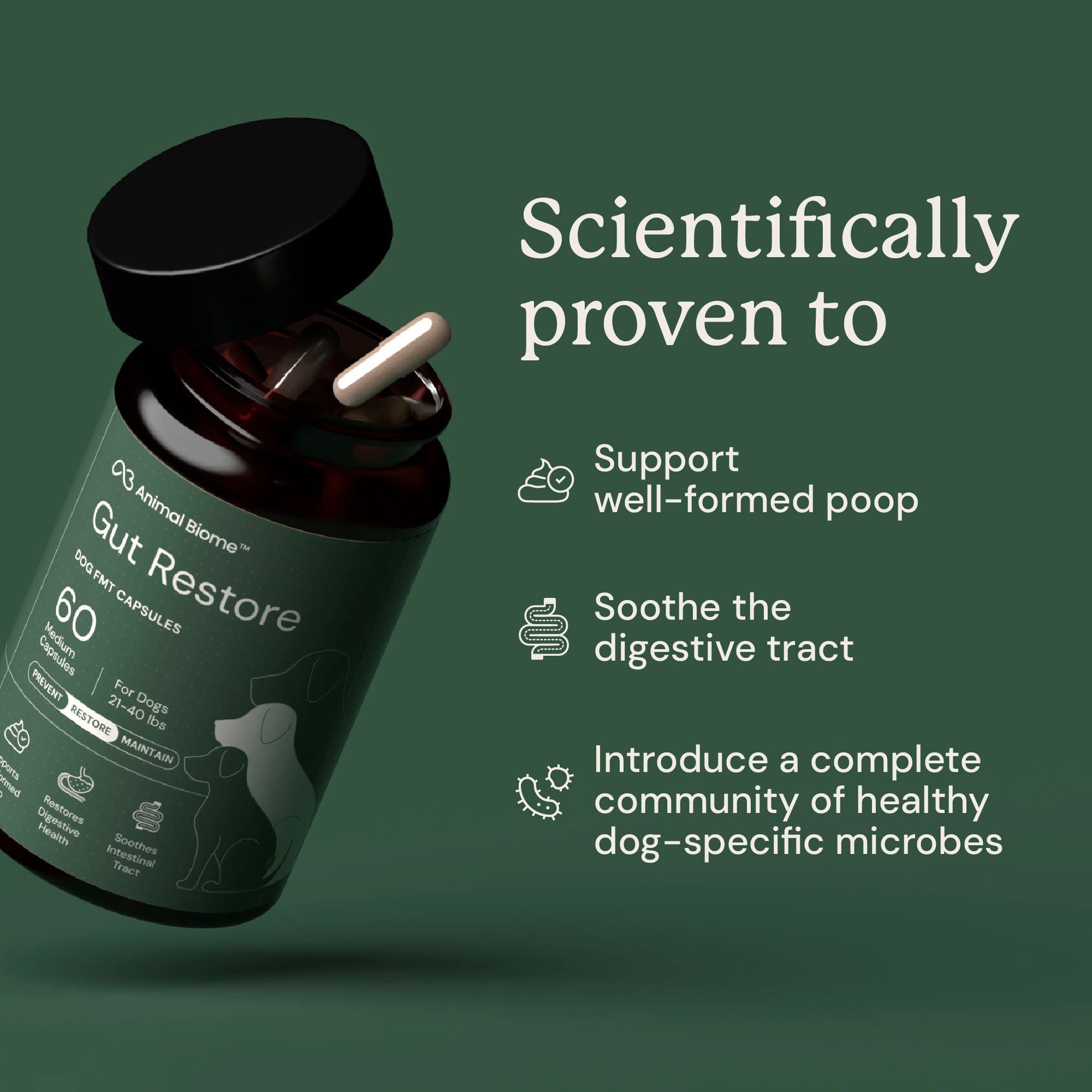Dog Gut Microbiome Support Capsules product image 4