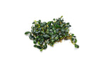 Live Bucephalandra Starter Pack product image 4