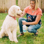 Flea and Tick Spray Kit for Pets and Yard product image 3