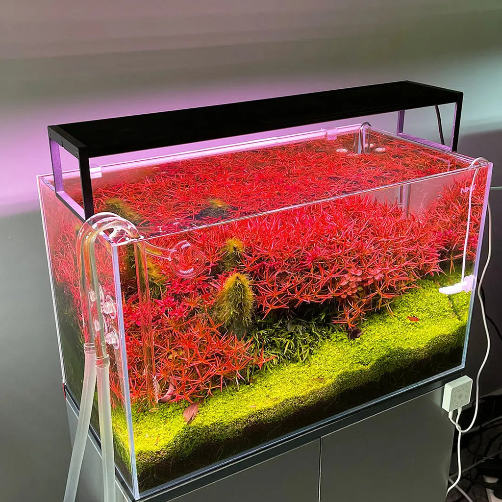 Planted Aquarium RGB LED Light product image 7
