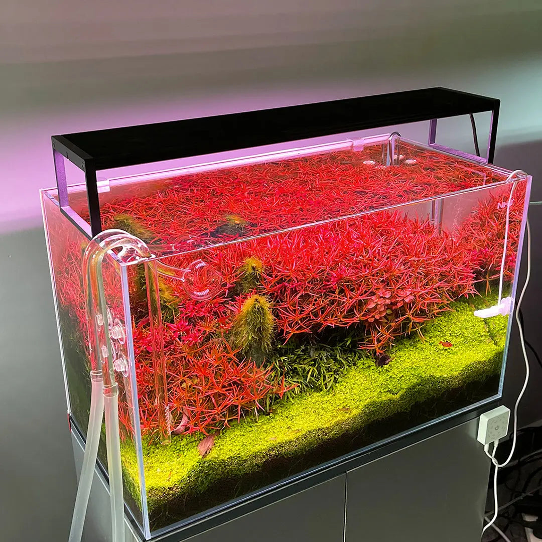Planted Aquarium RGB LED Light product image 7