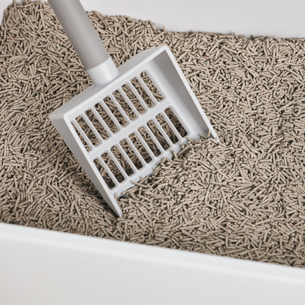 Wide-Slot Cat Litter Scoop product image 2