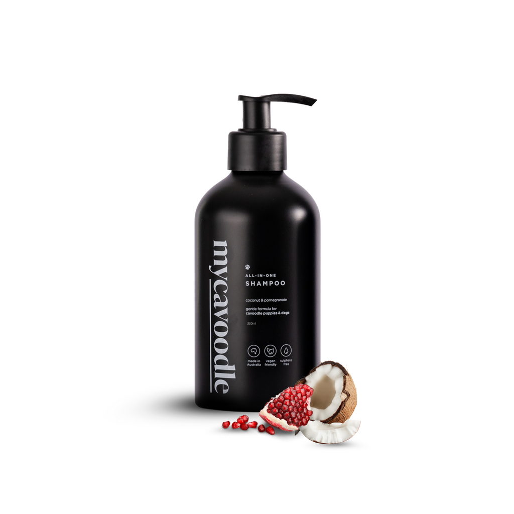 Cavoodle Dog Shampoo product image 1