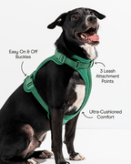 Cushioned No-Pull Dog Harness product image 14