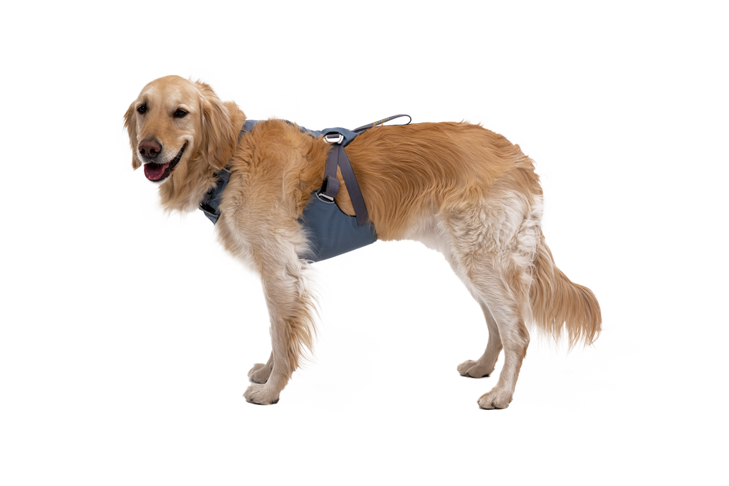 Crash-Tested Dog Car Harness product image 2