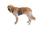 Crash-Tested Dog Car Harness product image 2