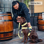 Adjustable Grab-Handle Dog Harness product image 29