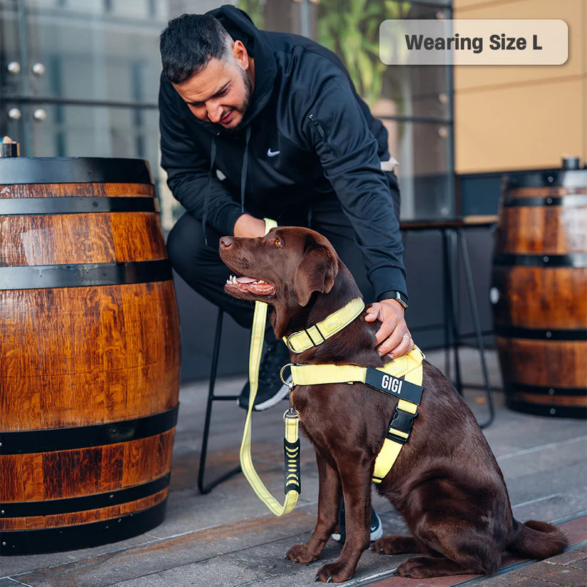 Adjustable Grab-Handle Dog Harness product image 29