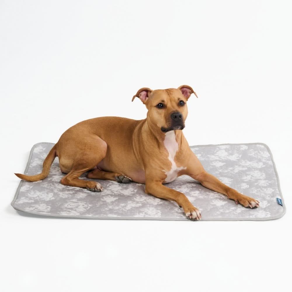 Breathable Cooling Dog Mat product image 23