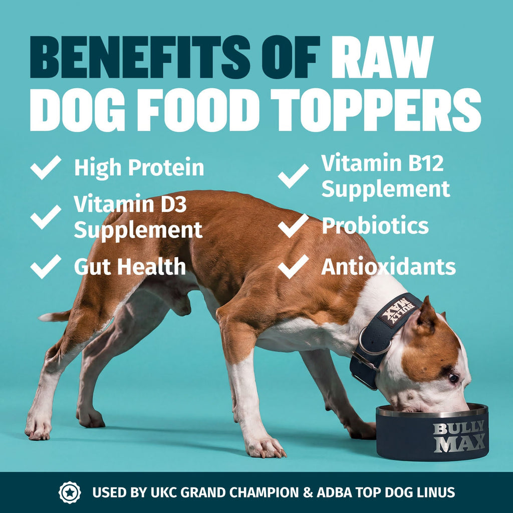 Freeze-Dried Salmon Dog Food Topper product image 4