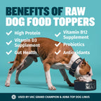 Freeze-Dried Salmon Dog Food Topper product image 4