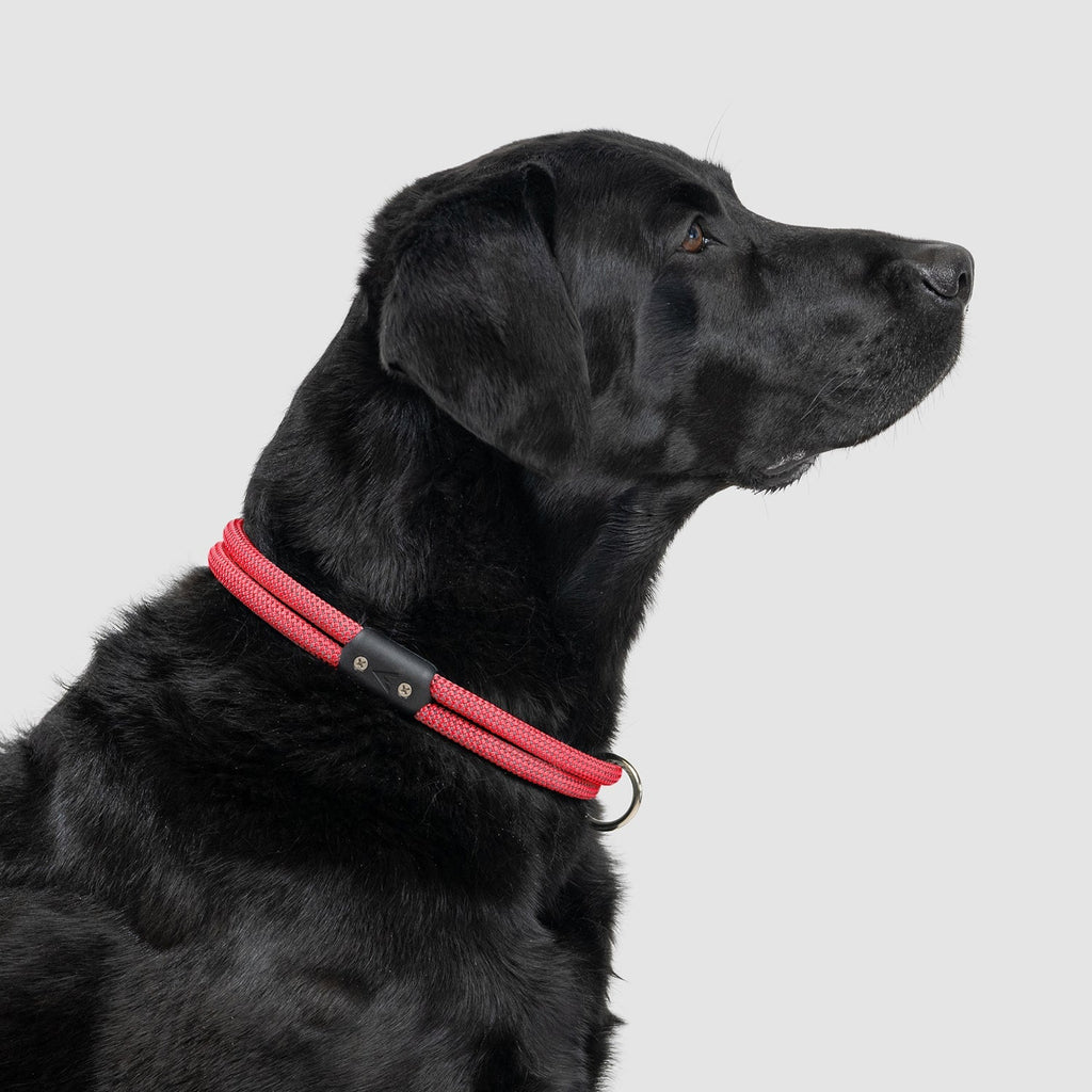 Climbing Rope Slip-On Dog Collar product image 17