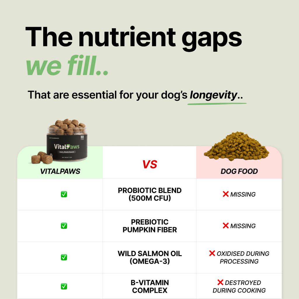 Daily Dog Multivitamin Soft Chews product image 7