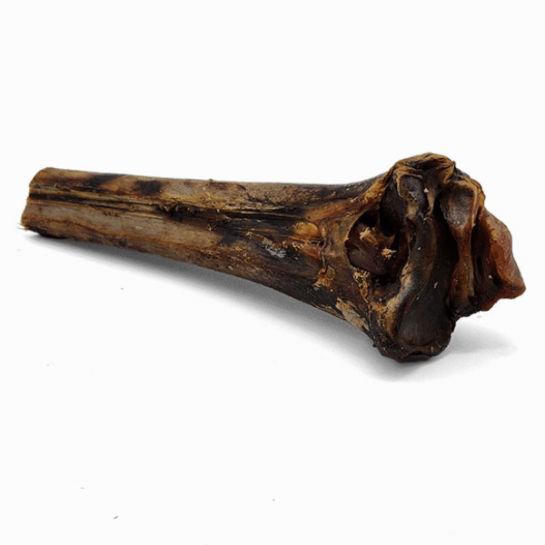 Large Ostrich Cane Dog Chew product image 5