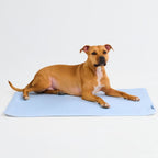 Breathable Cooling Dog Mat product image 94