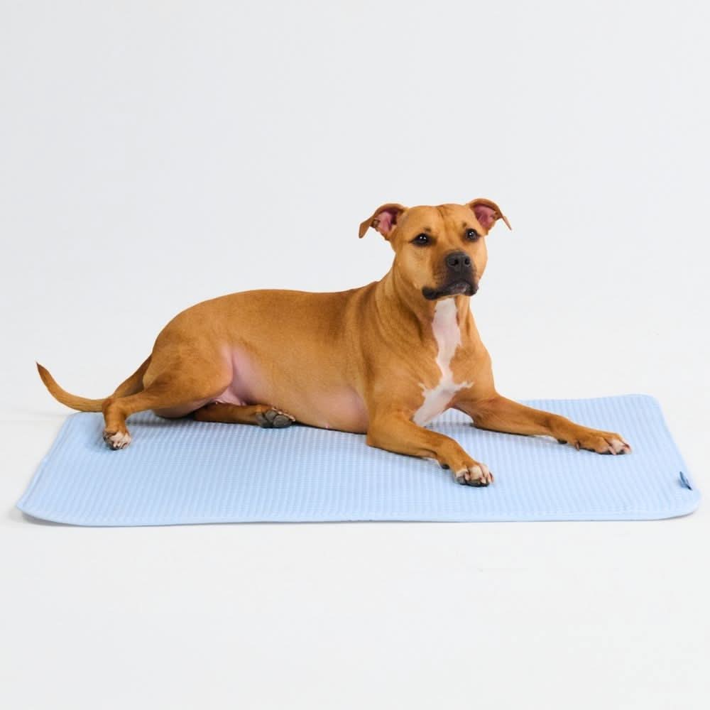Breathable Cooling Dog Mat product image 94