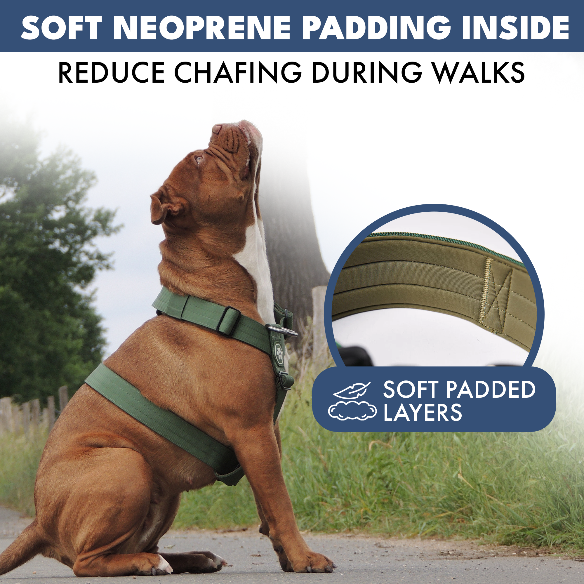 No-Pull Dog Harness Walking Set product image 33