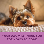 Gently Cooked Dog Food product image 5
